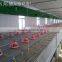 Steel Chicken Shed Poultry Farm