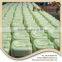 Hot Selling Supreme Competitive Rate 100% Natural Green liquid npk fertilizer