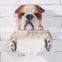 Handmade resin bulldog bust animal toilet paper roll holder