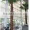 shengjie 2015 SJH44152 large artificial palm trees for hotel,shopping mall decoration