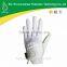 Strong American sports golf l Gloves 2015