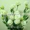 Best Price Fresh Cut Flowers White Eustoma For Sale