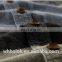 Custom made factory wholesale man slim fit plaid cotton flannel shirt