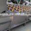 Industrial vegetable and fruit washing machine for sale