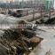(1/2'' 1'' 1 1/2'' 2'' 3'' 4'') Sch40 Seamless Pipe SS304 /Good Steel