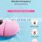 Priced Direct IPX7 level waterproof sonic facial cleansing brush instrument set