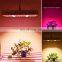 2000w cob bar led grow light full spectrum uv and ir