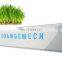 Wheatgrass alfalfa grass animal fodder growing machine barley grass machinery