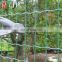 PVC Coated Welded Wire Mesh Euro Fence Galvanized Holland Wire Mesh