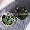 Succulent Small Nordic Simple Ceramic Marble Flower Pot