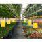 Outdoor Waterproof Dual-sided Yellow Insect Glue Trap Sticky Glue Board 20CM*15CM