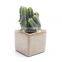 Ice Cracked Ceramic Flowerpot Square Succulent Flowerpot Colorful Mini-thumb Pot Zakka Succulent Pot For Garden Decor