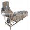 Automatic fruit washing machine for apple cherry eggplant