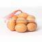 Hot selling customized logo printing mesh bag net for pack eggs Protective colorful fruit and vegetable plastic sleeve net bag