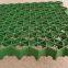 5cm7cm flower mouth flat mouth grass green parking lot fire lane roof garden grass planting grid