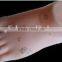 Massage Foot Acupuncture Model With 2 Size