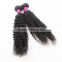 Unprocessed 5A 6A 7A Grade virgin Afro Kinky Asian human hair bulk human hair wholesale