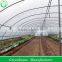sprinker irrigation system