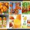 Leader high efficiency sea buckthorn fruit juice production machine