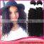 Brazilian Hair 8inch Hair Weaving Remy Extension Kinky Curly Brazilian Remy Human Hair Extension Weaving                        
                                                Quality Choice