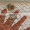 agriculture bird protection net