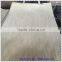 Mersawa Wood tropical wood veneer