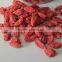 Organic goji berries in low price