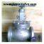 Carbon Steel/A216 WCB Flange Globe Valve