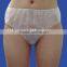 Hot Selling Disposable Nonwoven Underwear for Ladies                        
                                                Quality Choice
