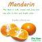 Fresh mandarin orange citrus fruit for Taiwan