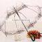 Dome Poe Clear Plastic Transparent Trend Umbrellas