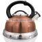 best kettle stainless steel water kettle