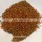 feed sorghum price is very competitive