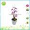 Kaffir lily solar power garden street decorative lights