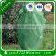 Reusable Ecofriendly Polypropylene Spundonded Nonwoven Tree/Fruit Cover/fruit plantations/Garden bags
