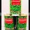 Wholesale Canned Green Peas 400#