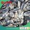 painted cuplock standard and ledger parts for sale