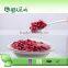 Hot Sale Dark Red Kidney Beans/ Chinese Red Kidney Beans