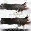 High Quality European Virgin Hair Extensions Glamorous Hair Straight Fadianxiu Hair