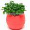 New Products Durable Plastic Indoor Plant Pots For Sale