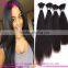 Hair Bulk For Braiding Top Quality 100% Virgin Brazilian Bulk Hair Extensions Without Weft