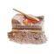 Mini Tropical Dig and Discover Fish dig kit