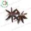 Hot selling star aniseed star anise} with CE certificate
