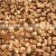 taro buyers in the middle east
