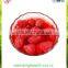canned strawberry in best price with high quality from china