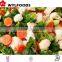 Frozen Mix Vegetables (IQF Beas -IQF peas- IQF Carrots... ...)