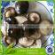 new crop preserved shiitak quarter mushroom in brine