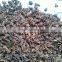 VIETNAM RAW STAR ANISSED NEW CROP 2015