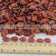 edible red water melon seeds big size