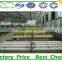 Low Cost Greenhouse Hydroponica